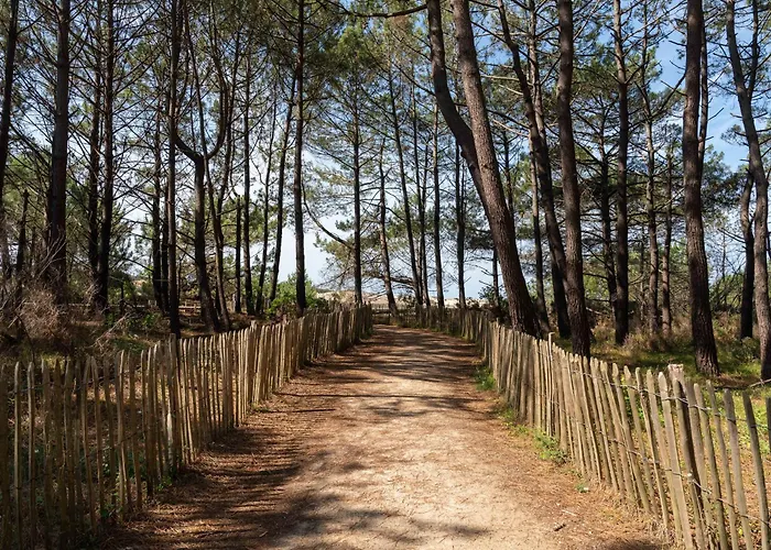 Lejlighed T2 A 2 Pas De La Avec Terrasses, Parking Et Local Velo - 5 Pers, Menage Inclus - Fr-1-319-435 Biscarrosse